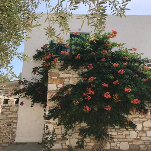 صورة الفندق 3