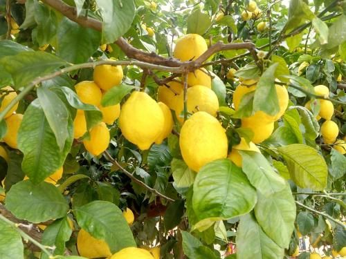 صورة الفندق 2