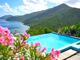 Фото отеля Tortola Adventure Private Villa with OceanView Pool