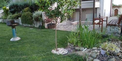 صورة الفندق 3