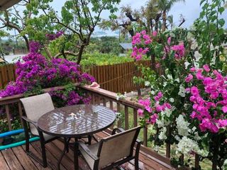 Hotel pic Affordable Adorable Cottage in Grace Bay with Pool