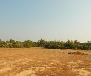 Banabhoji.com Bhubaneswar India