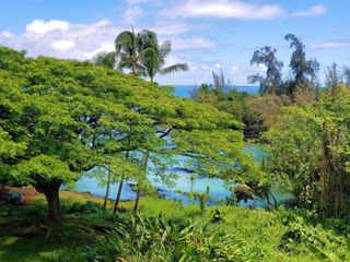 Фото отеля Mauna Loa Shores #405 condo