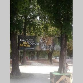 NearBy Hotel
