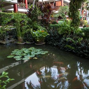 NearBy Hotel