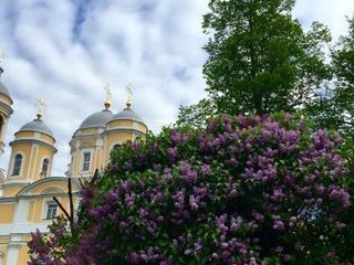 Guest House Fenix, Гостевои дом Феникс