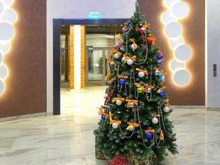 Apartment Evia Nord