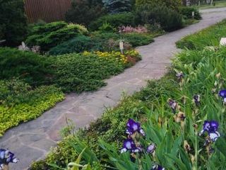 дом п. Левашово, СПб