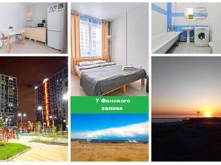 Apartment Vilkitskiy 6, 7floor