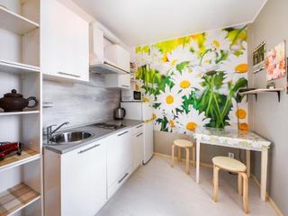 Apartment Shefnera 10 5fl