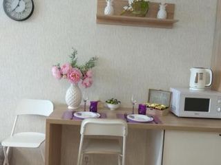 Elagin Apartment
