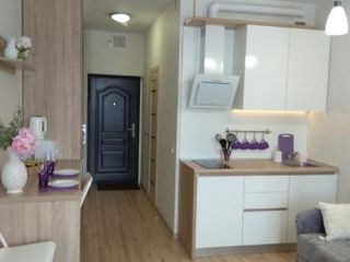 Elagin Apartment