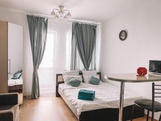 Cosy bright apartment