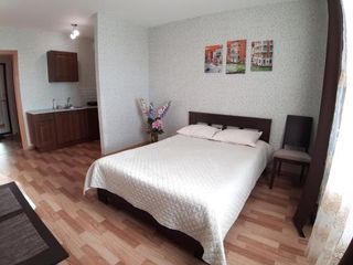 Apartments Neva 149