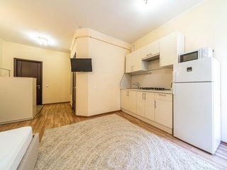 Apartment near New Holland 2
