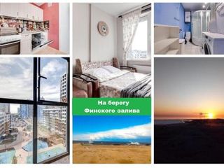 Apartment Shefnera 14 8fl
