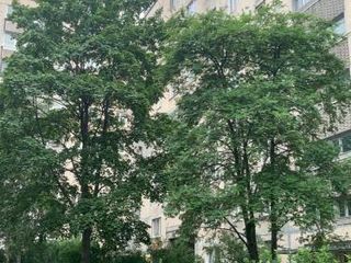 В Питер по любви