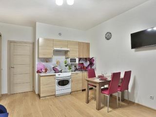 Comfortable cozy apartment on Arceulovskaya alley