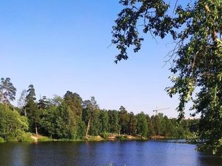 Уютная студия в Ломоносове Парки,дворцы,фонтаны