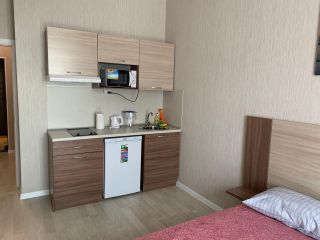 Апартаменты-студио (24 кв. м) с 1 ванной(-ыми) комнатой(-ами) в районе Московский район