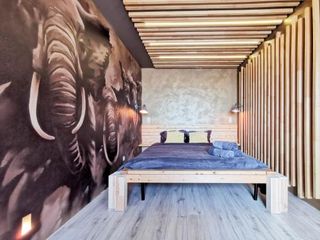 Оne-room apartment Great Elephants, Gazprom Arena, UEFA 2022