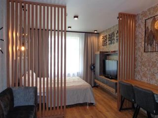 Elagin Apartment ''Clock''
