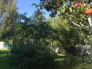 Garden Apartments Zelenogorsk