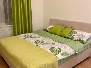 Green Apartment