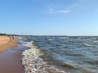 на берегу Финского залива