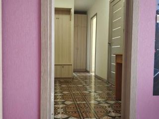 двухкомнатная квартира у Ледового дворца