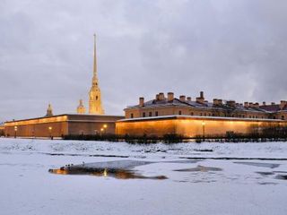Мансарда в доме с совами