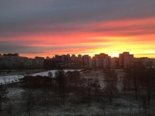 Кают-компания на Лимпопо