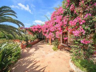Las Palmeras Portol