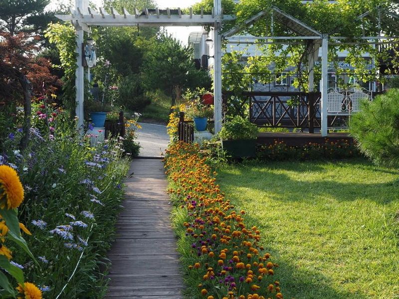صورة الفندق 3