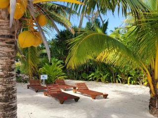 Фото отеля Cook Islands Holiday Villas - Blue Lagoon 1 Bdr