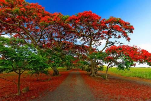 صورة الفندق 5