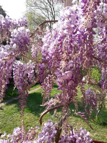 صورة الفندق 4