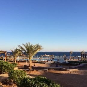 NearBy Hotel
