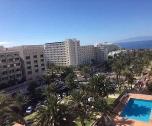 Tajinastes Tenerife Island Spain