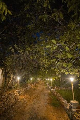 صورة الفندق 19