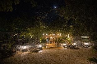 صورة الفندق 24