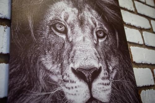صورة الفندق 16