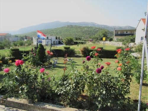 صورة الفندق 1