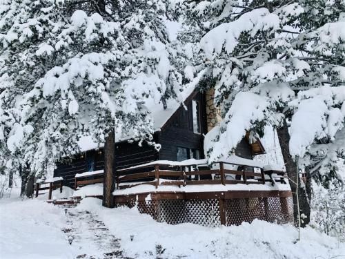 Photo of Dog Friendly Into the Woods Cabin by AAA Red Lodge Rentals