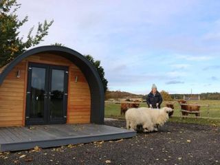 Фото отеля Glampods Glamping Pod - meet Highland Cows and Sheep Elgin