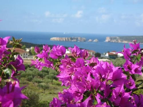 صورة الفندق 1