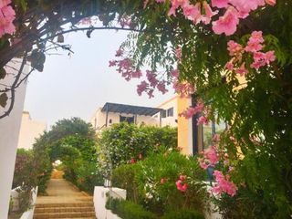 Фото отеля Villa Jardins de la Lagune