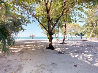 Фото отеля Private beachfront paradise Palmetto Bay