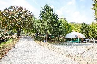 صورة الفندق 3