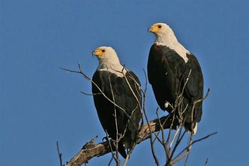 صورة الفندق 3
